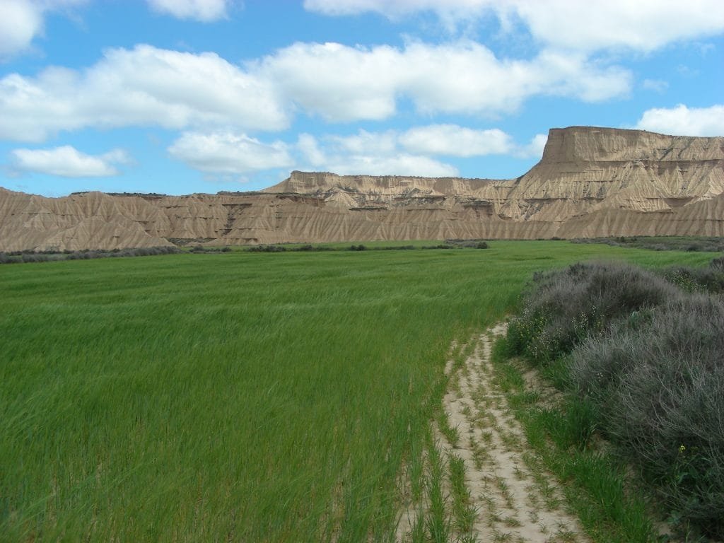 Desierto