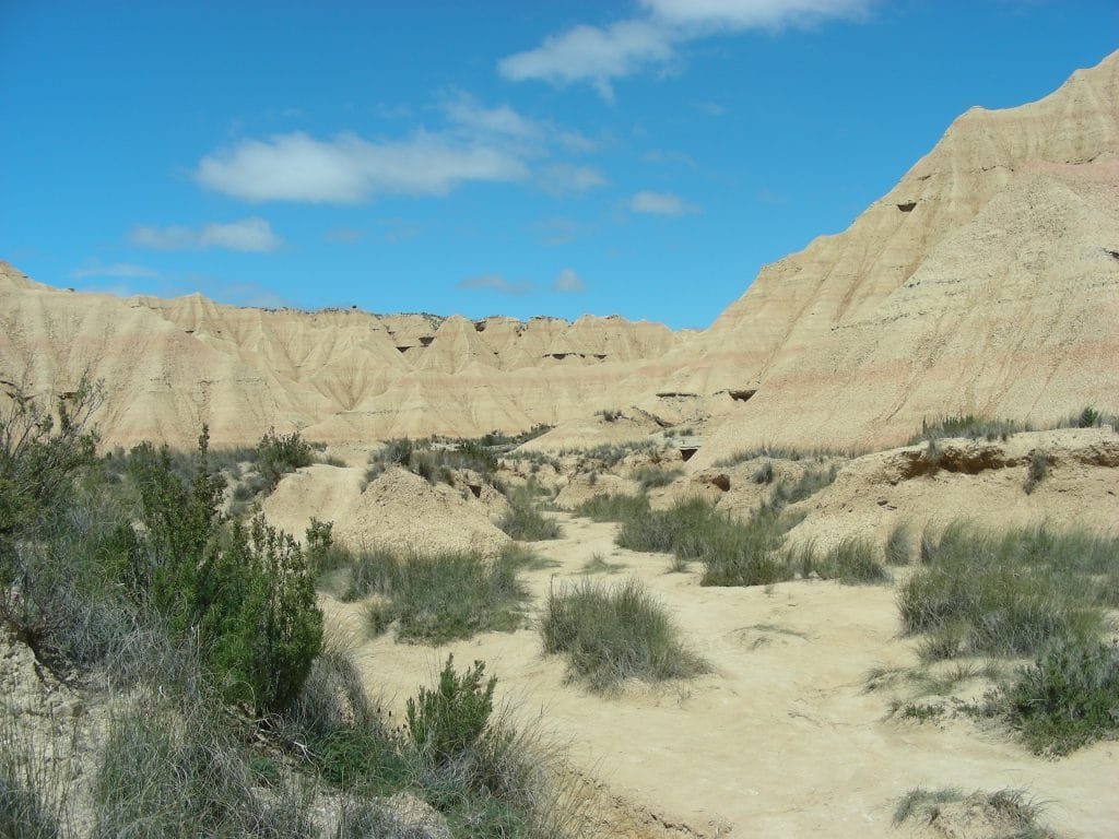 Las Bardenas