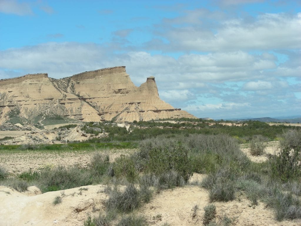 Bardena Blanca Piskerra