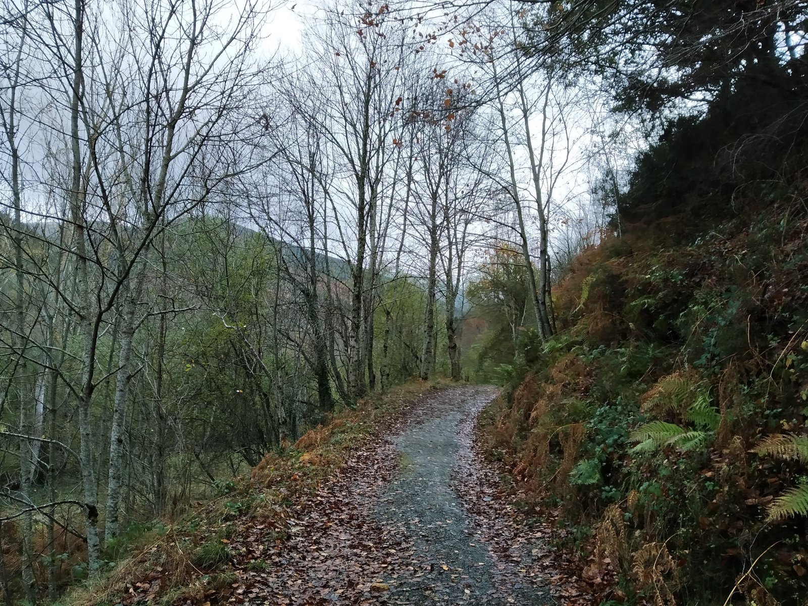 Cascadas de Altuzarra