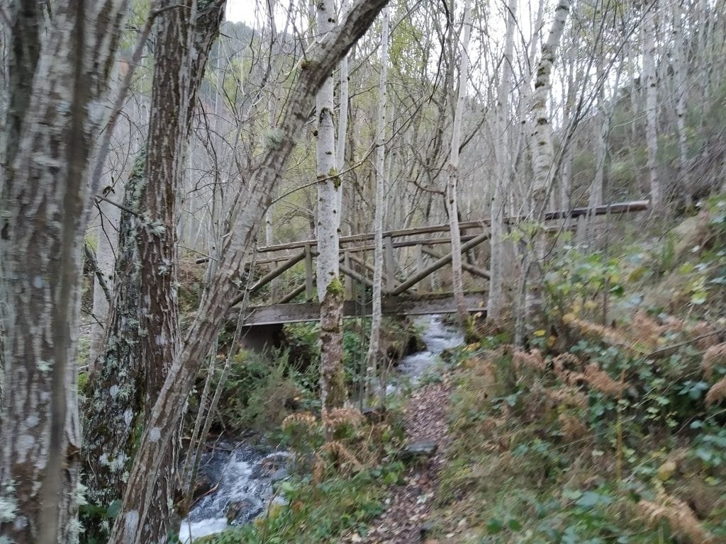 Puente
