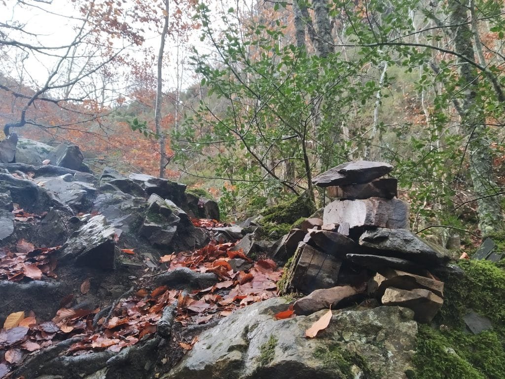 Hitos en el bosque