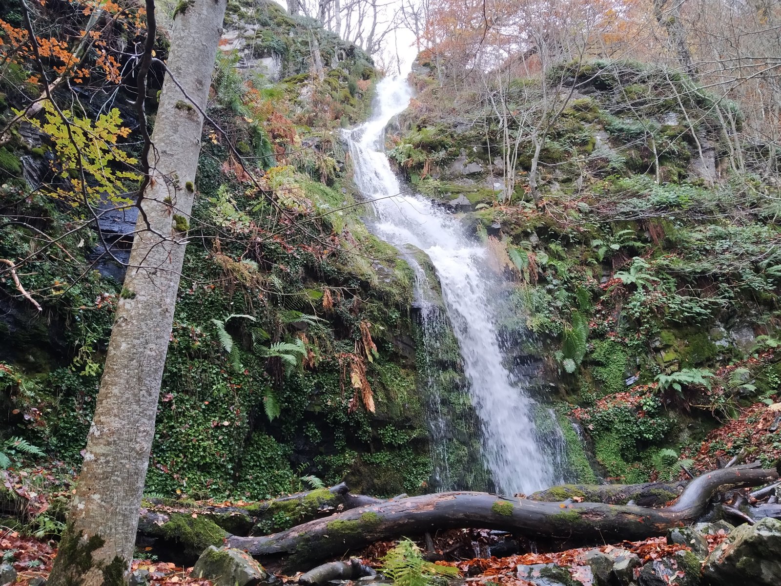 Cascada