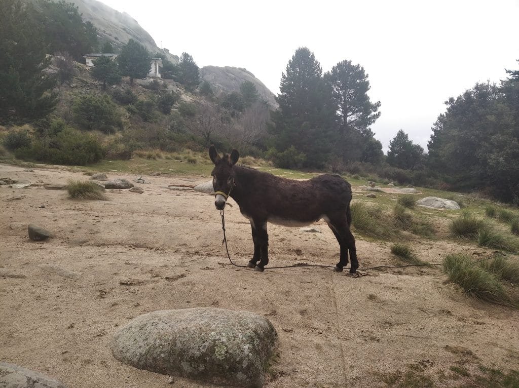 Del Tranco al Giner