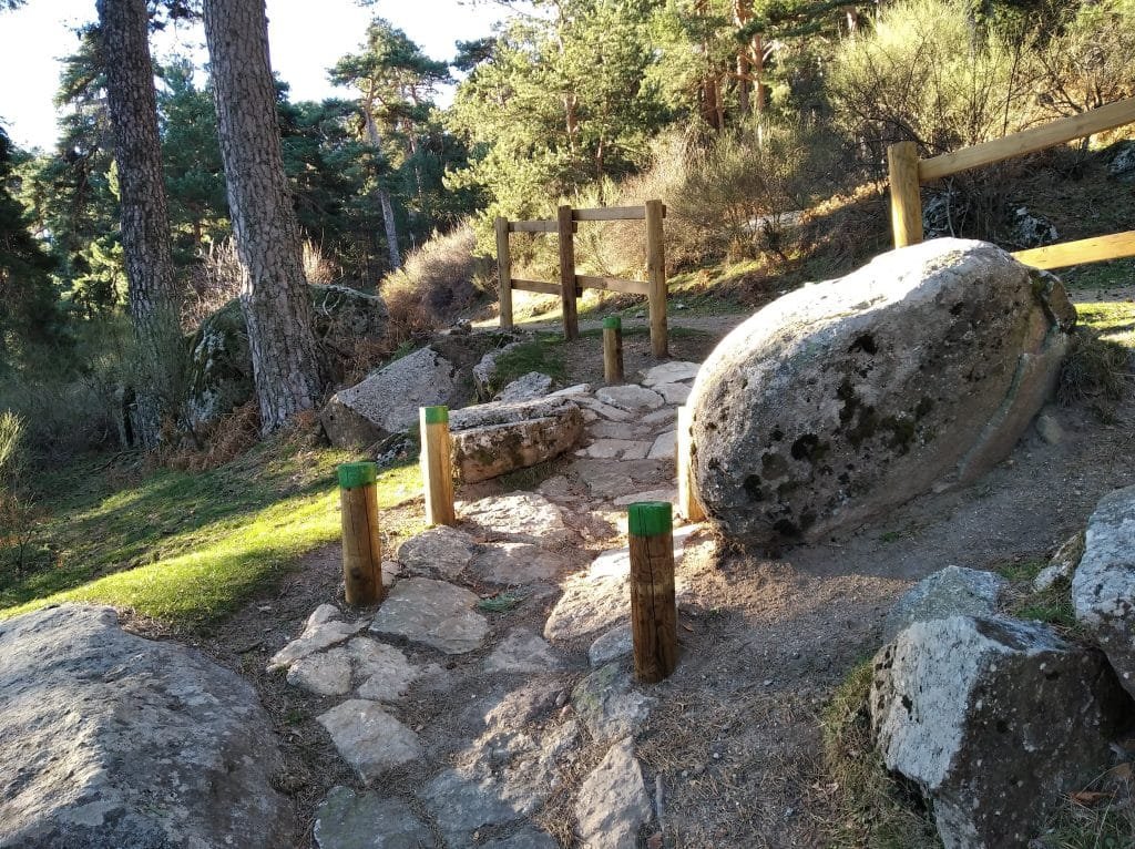 Camino hacia la pista