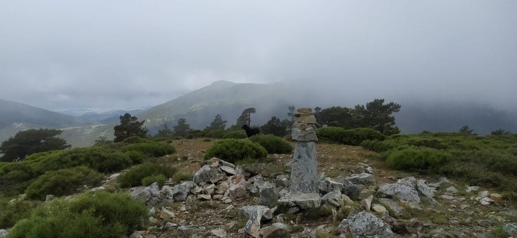 Circular desde Camorritos