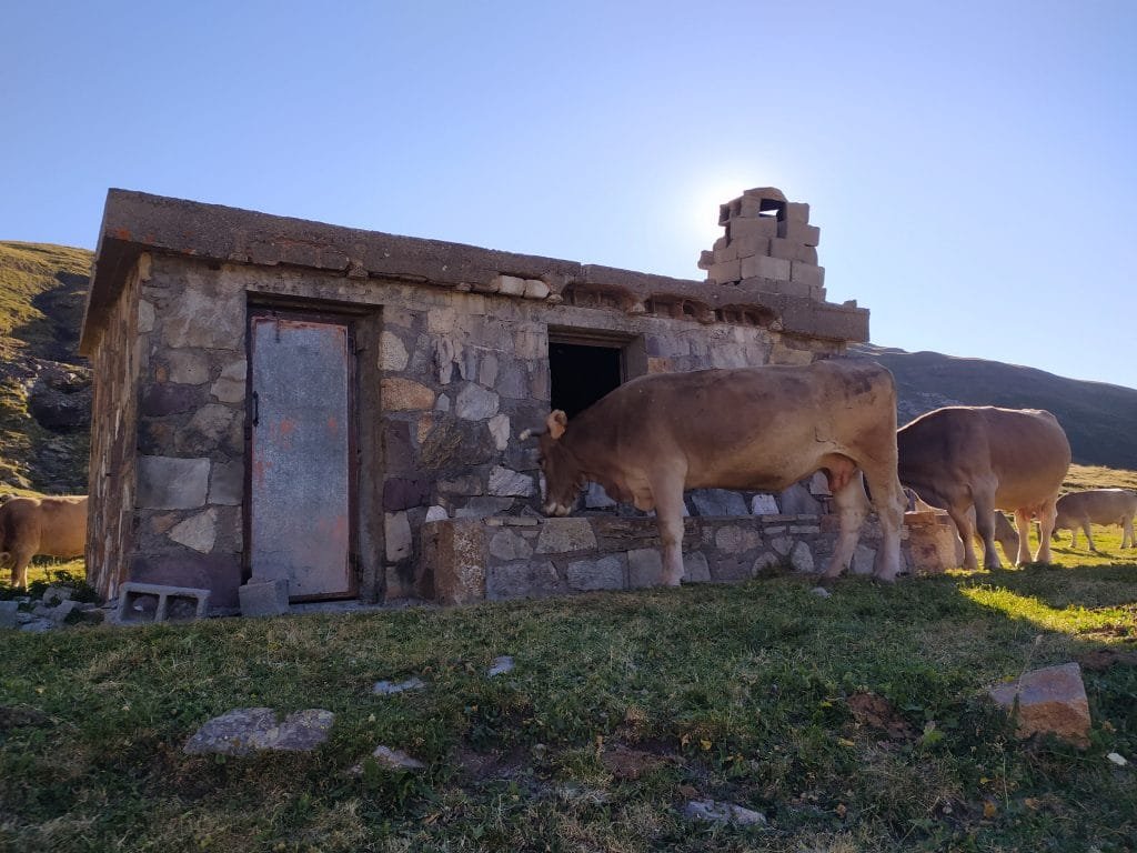 Refugio MONTARRUEGO