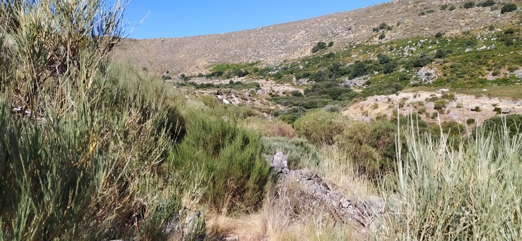 Gredos