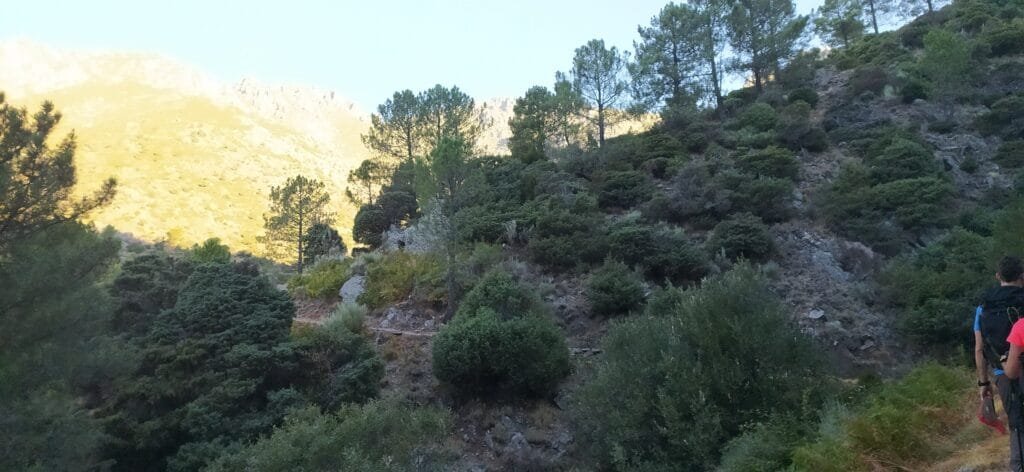 Subir a la Mira de Gredos