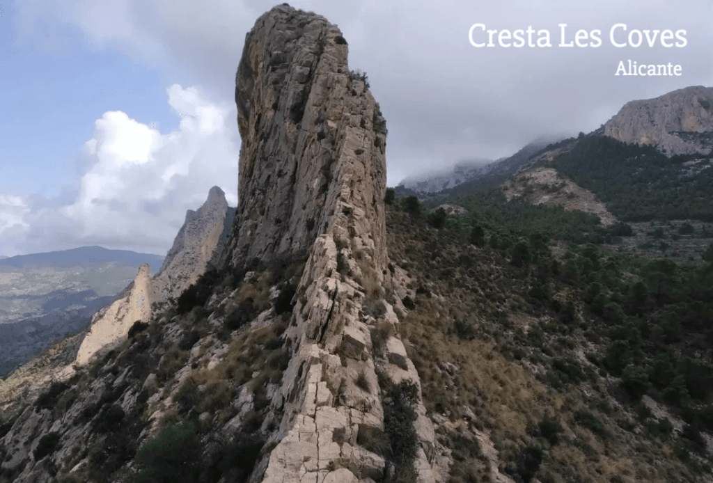 Crestas