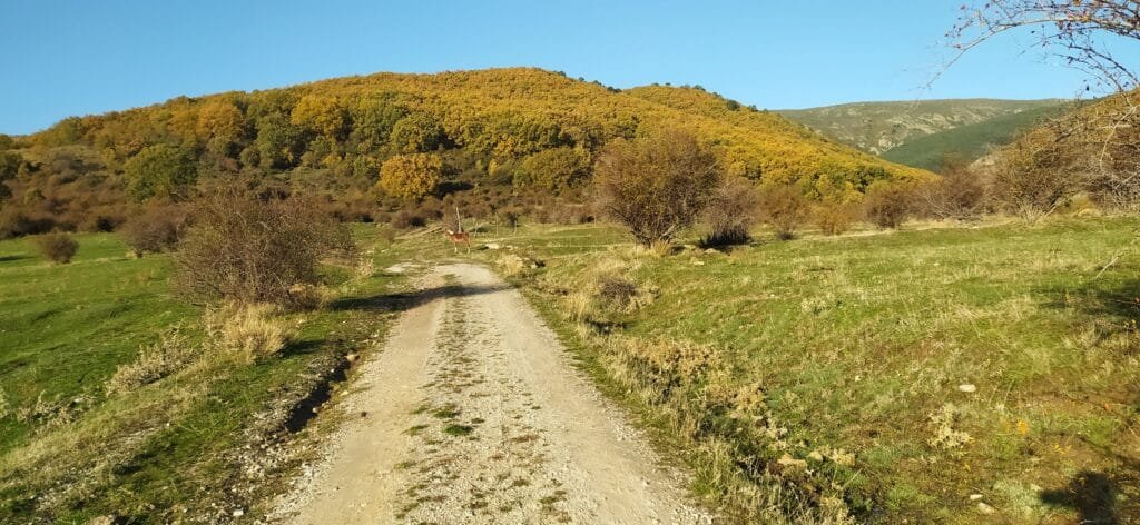 Circular de Rascafría a Peñalara