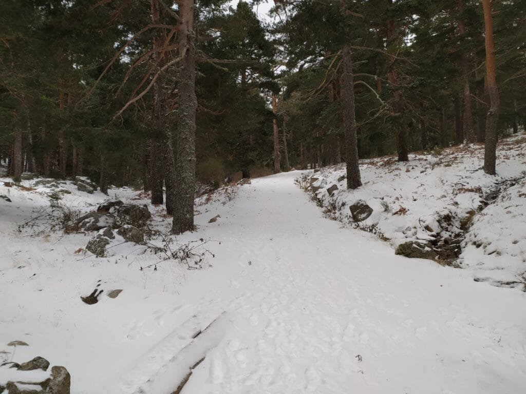 Todo nevado