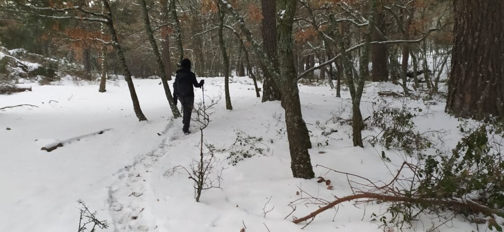 Todo nevado