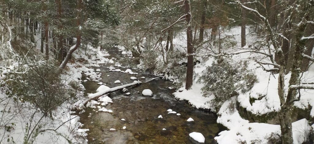 Ruta por Bosques de Rascafría