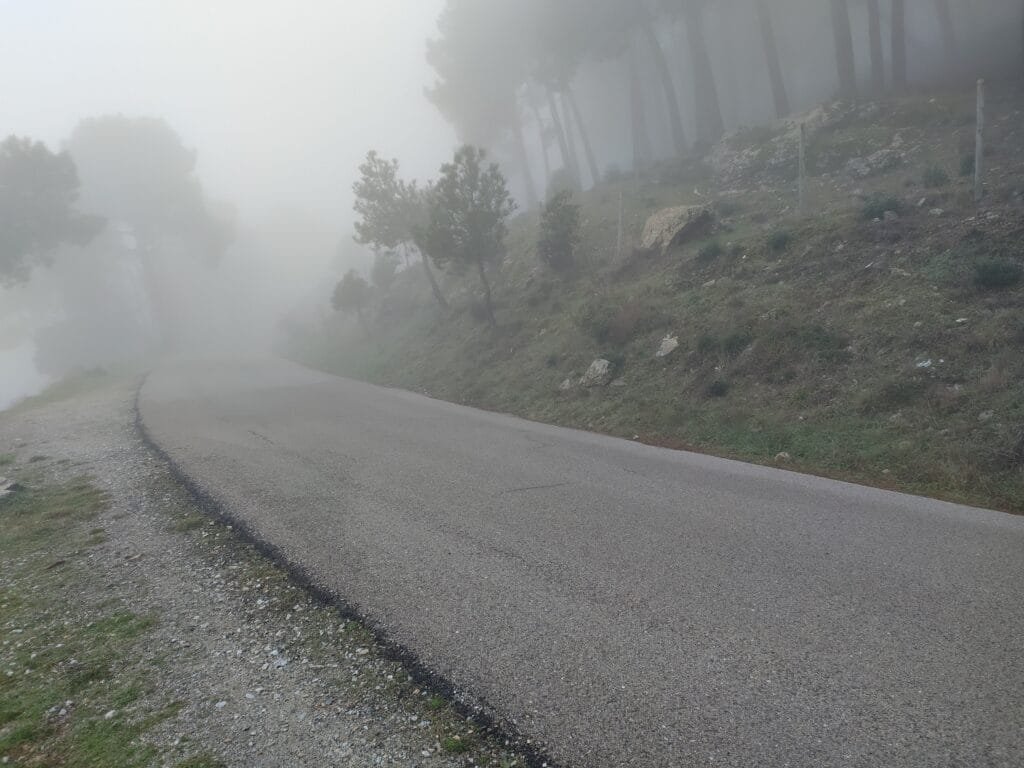 Niebla ne la montañaa