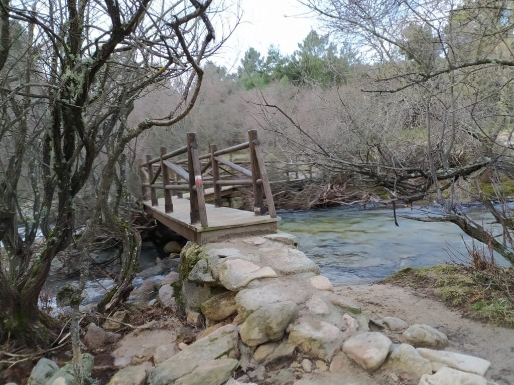 Maliciosa por Quebrantaherraduras