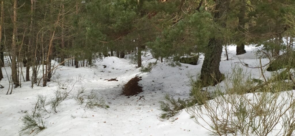 Terreno nevado