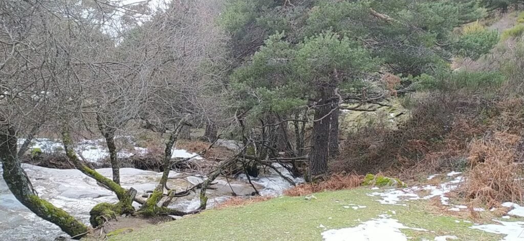 Rio en Navacerrada