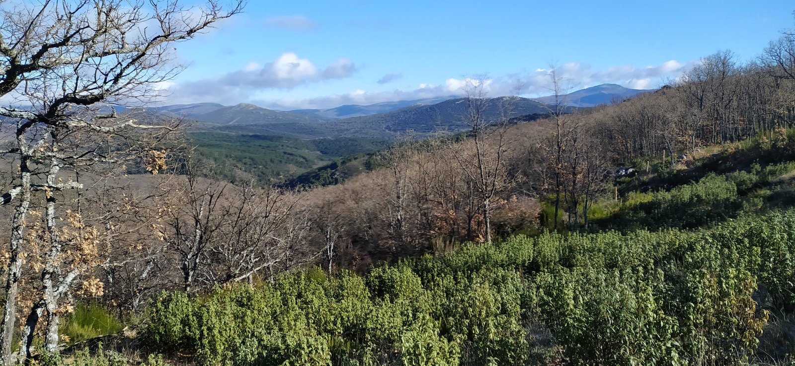 Travesía de la Zarza