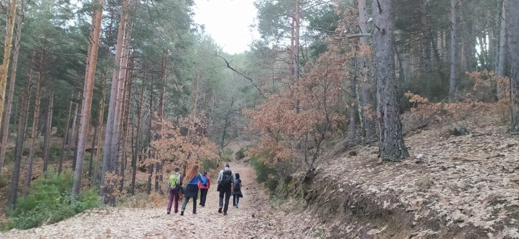 La Sierra del Rincón