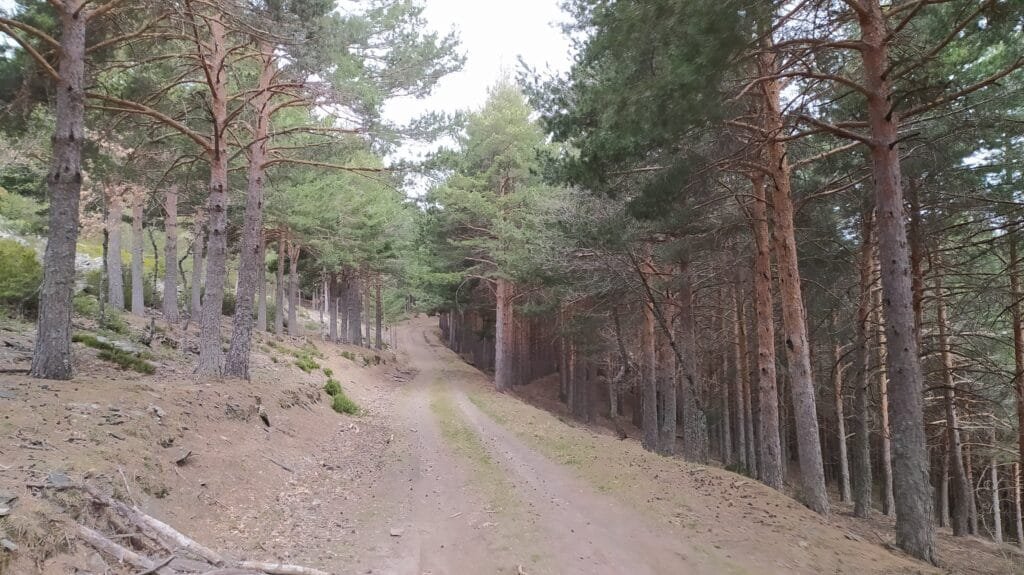 gr 303 Sierra del Rincón