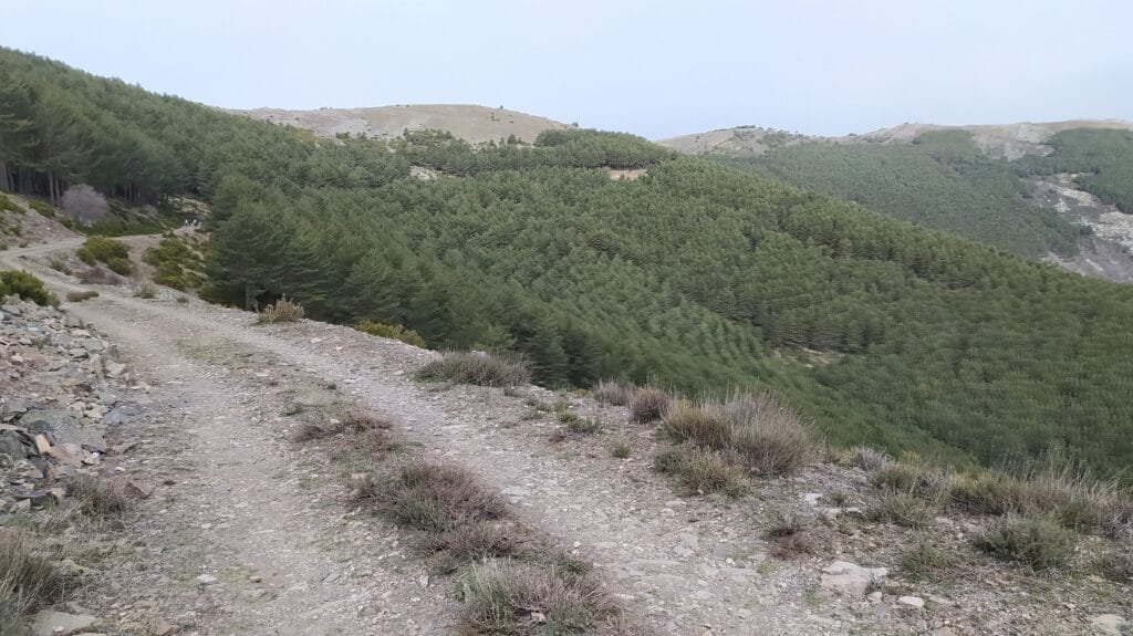 gr 303 Sierra del Rincón