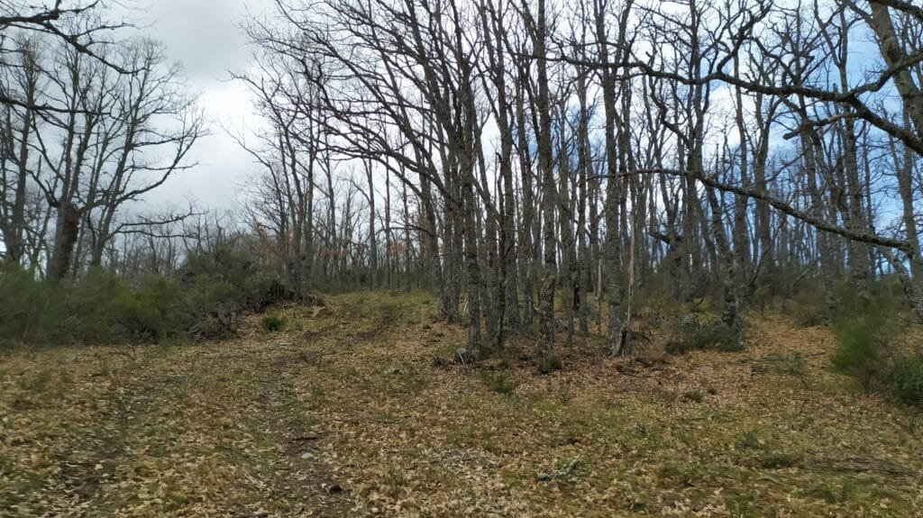 gr 303 Sierra del Rincón