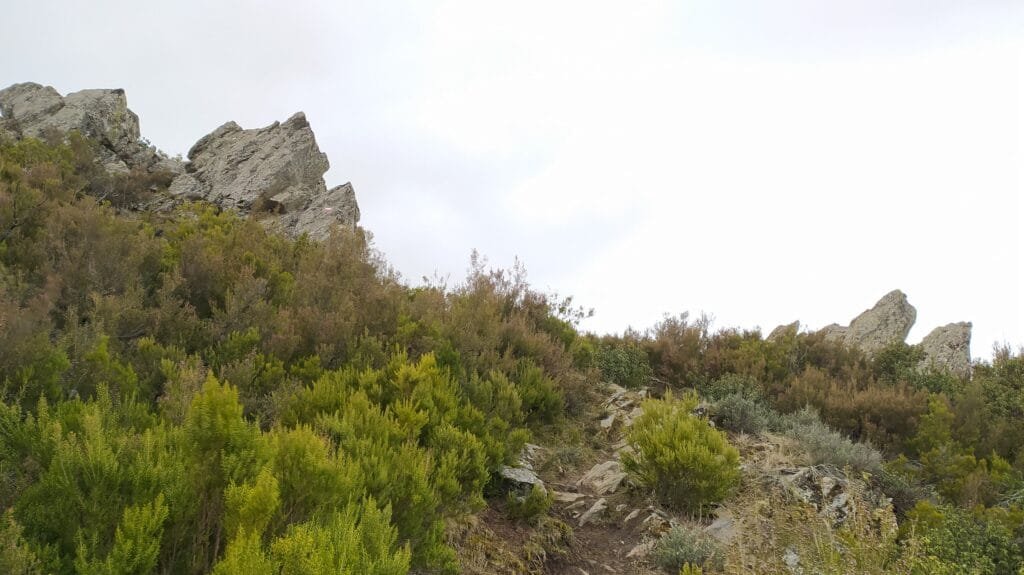 gr 303 Sierra del Rincón