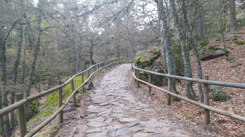 Subir al Pico Urbión
