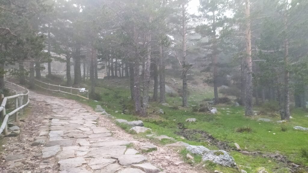 Comienzo de la ruta al urbión