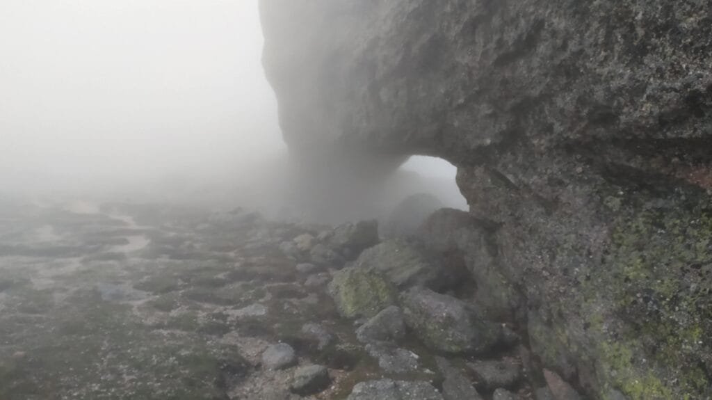 Niebla cubre todo