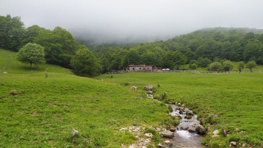 Majada