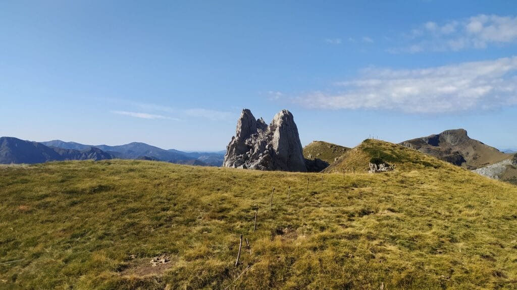 Cordal a la cumbre