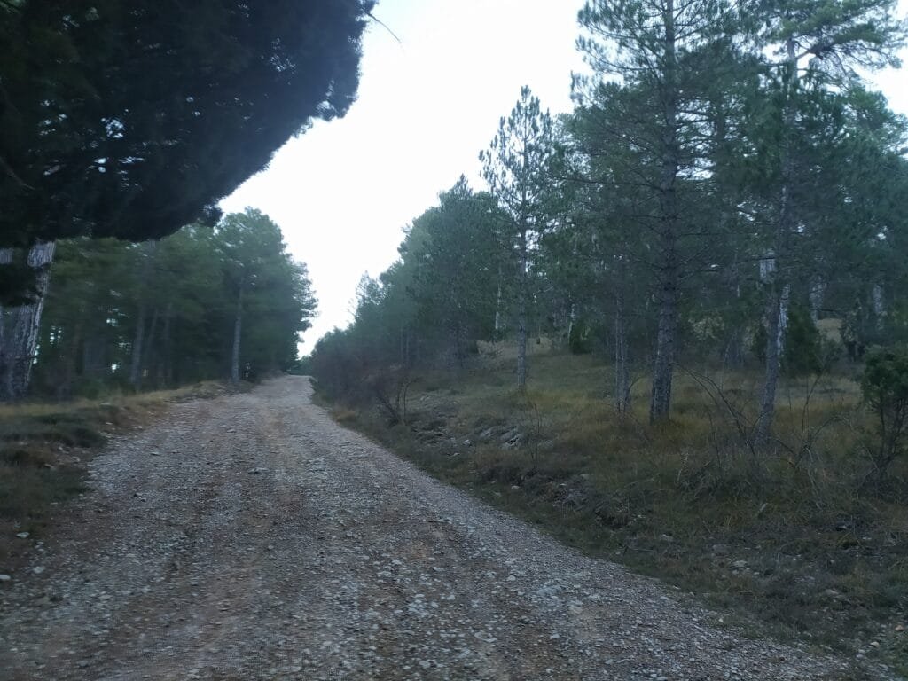 Peyagolosa por la Canal Sur