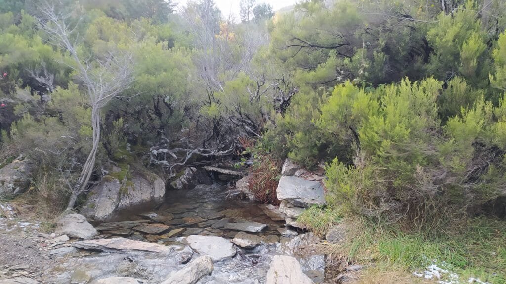 Ocejón por Valverde