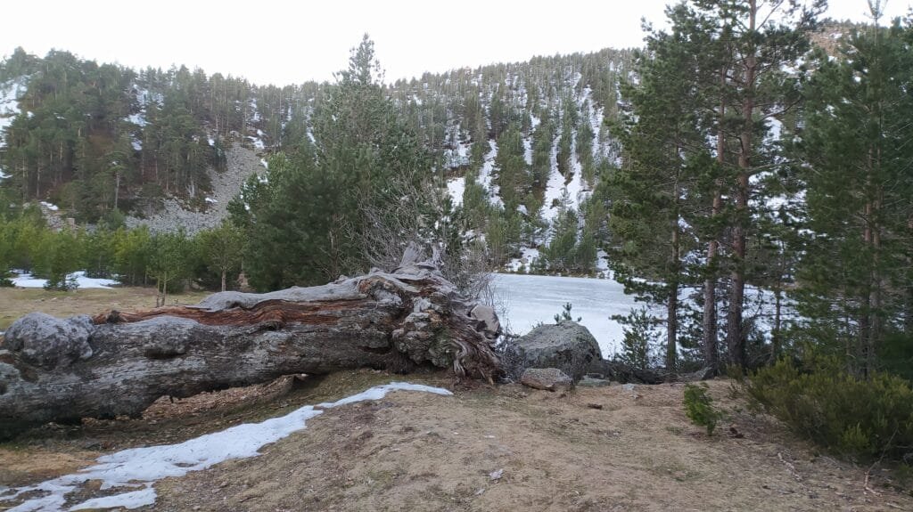 Lagunas de Neila y Calderas