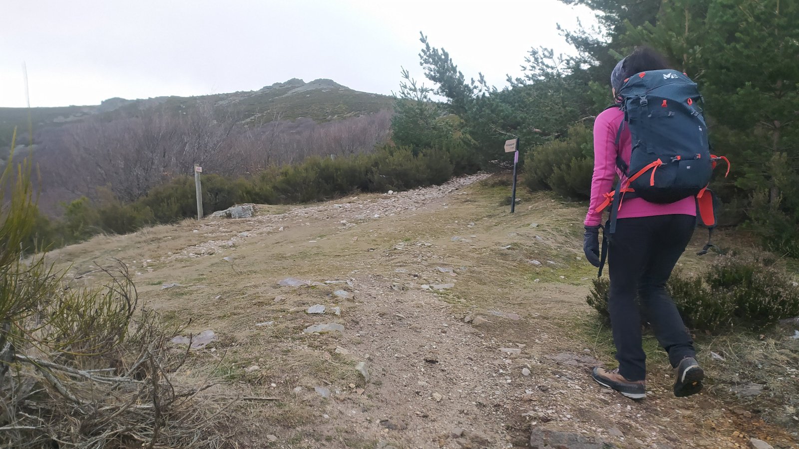 Cresta del Dragón