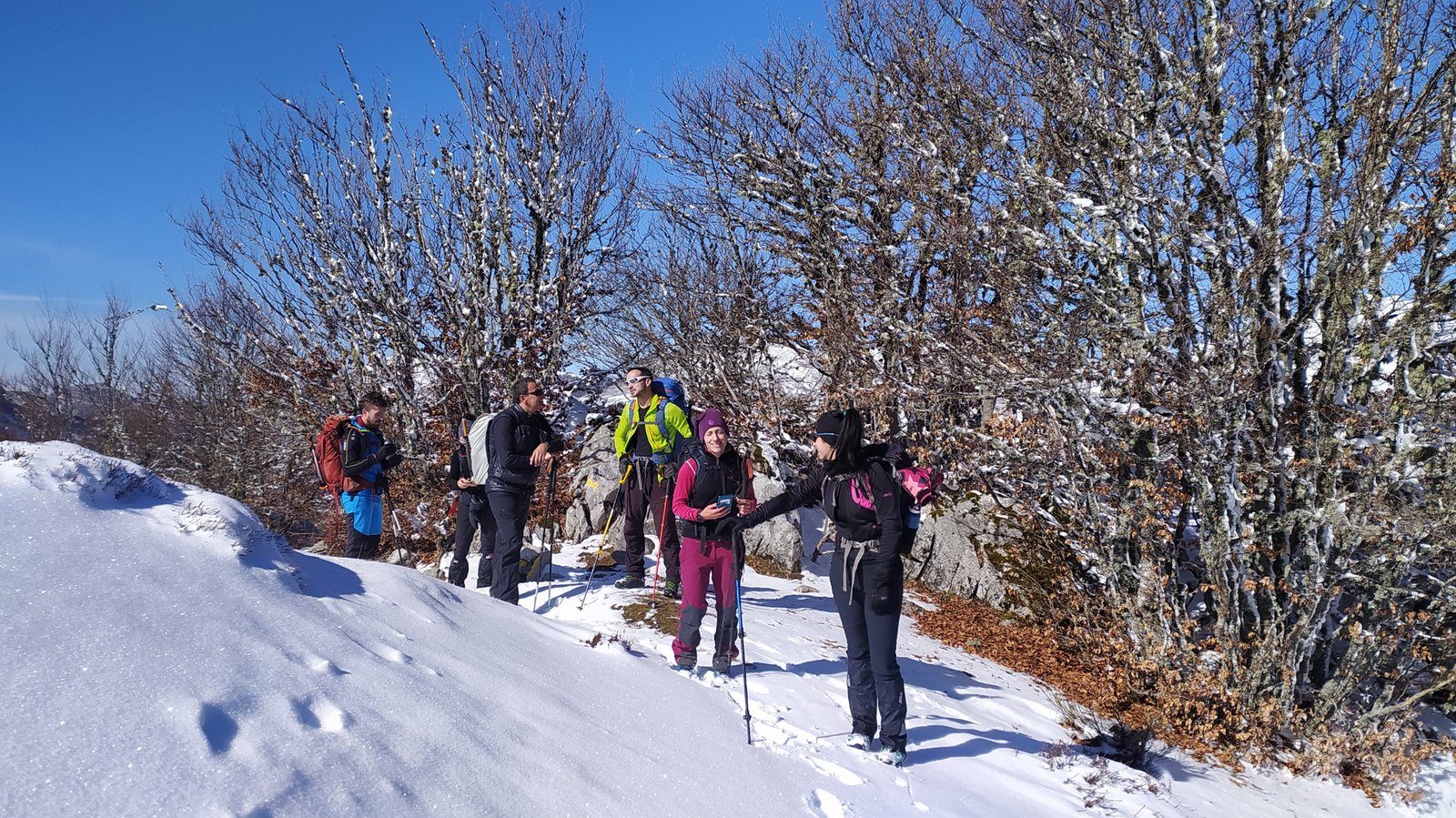 El grupo de montañeros