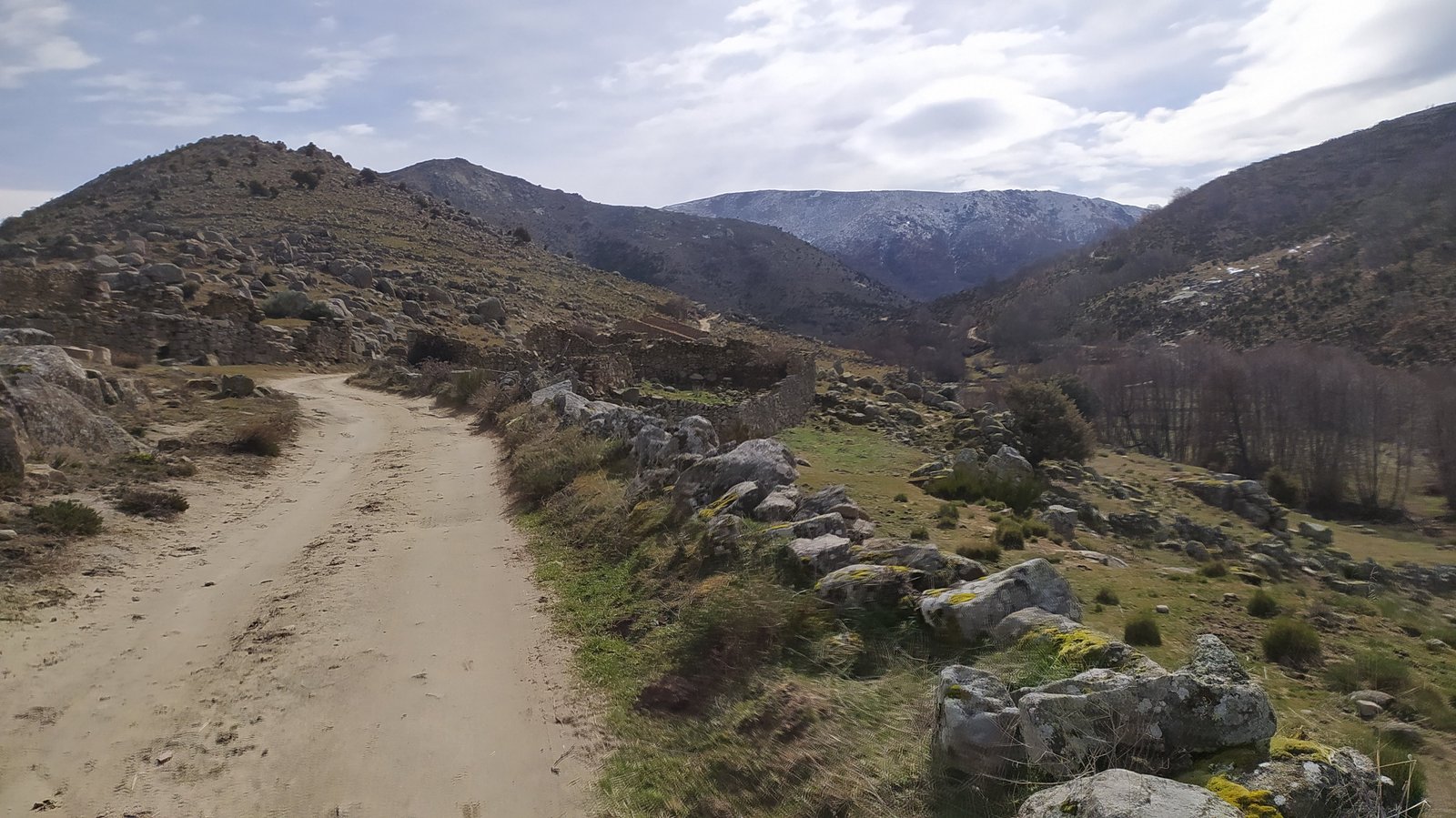 garganta
