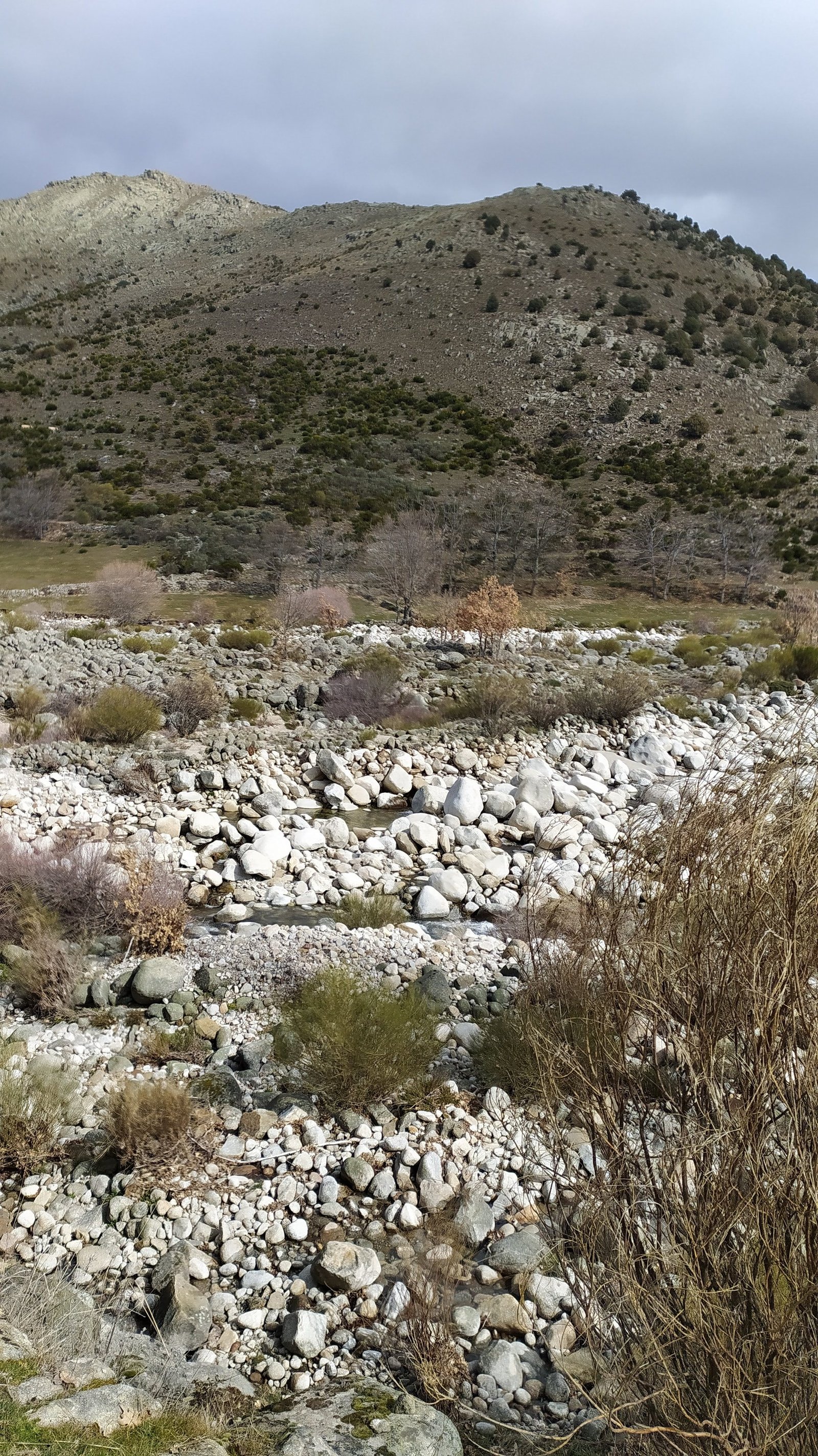 Risco Redondo de Gredos