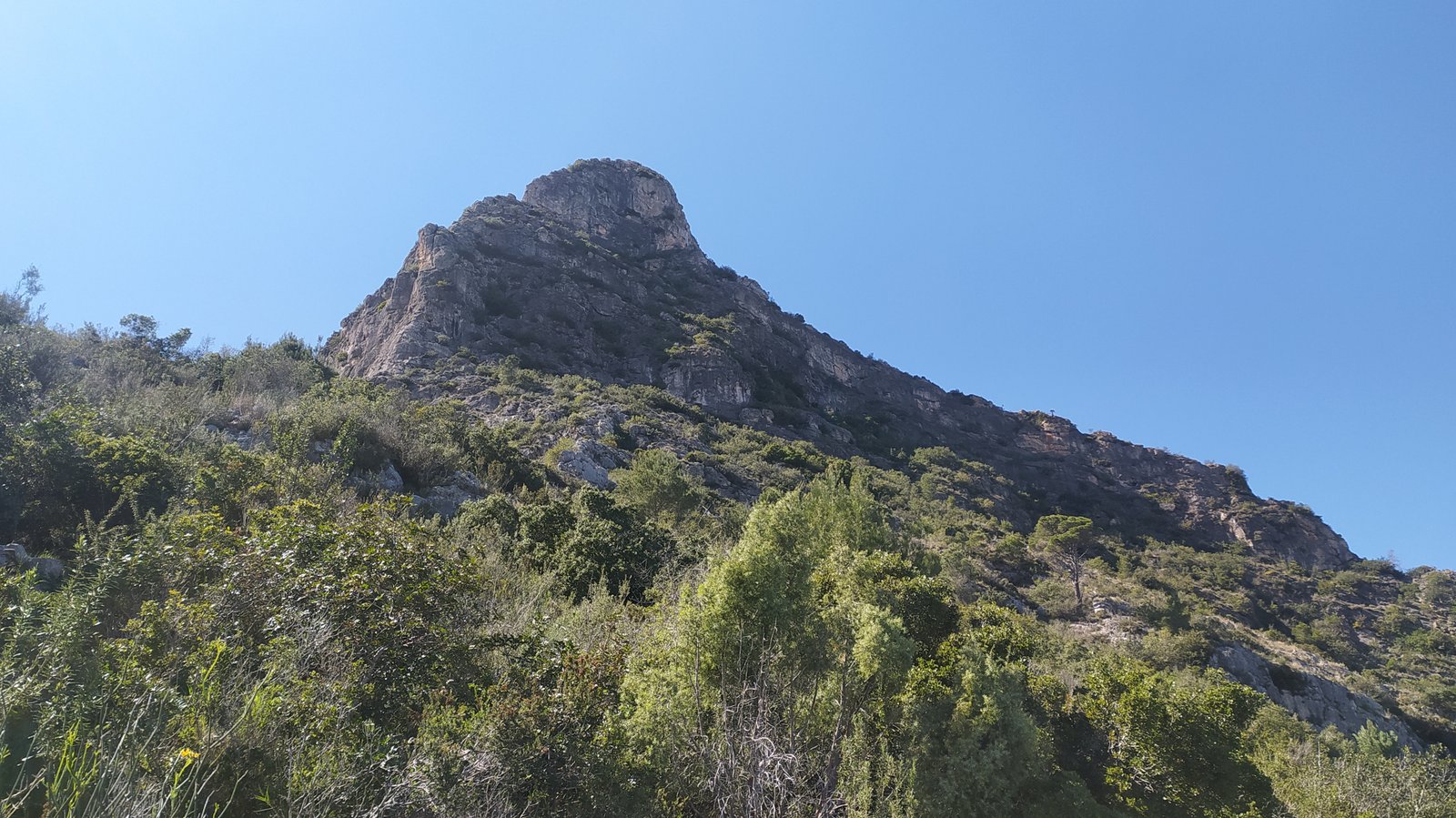 Vista de la cumbre