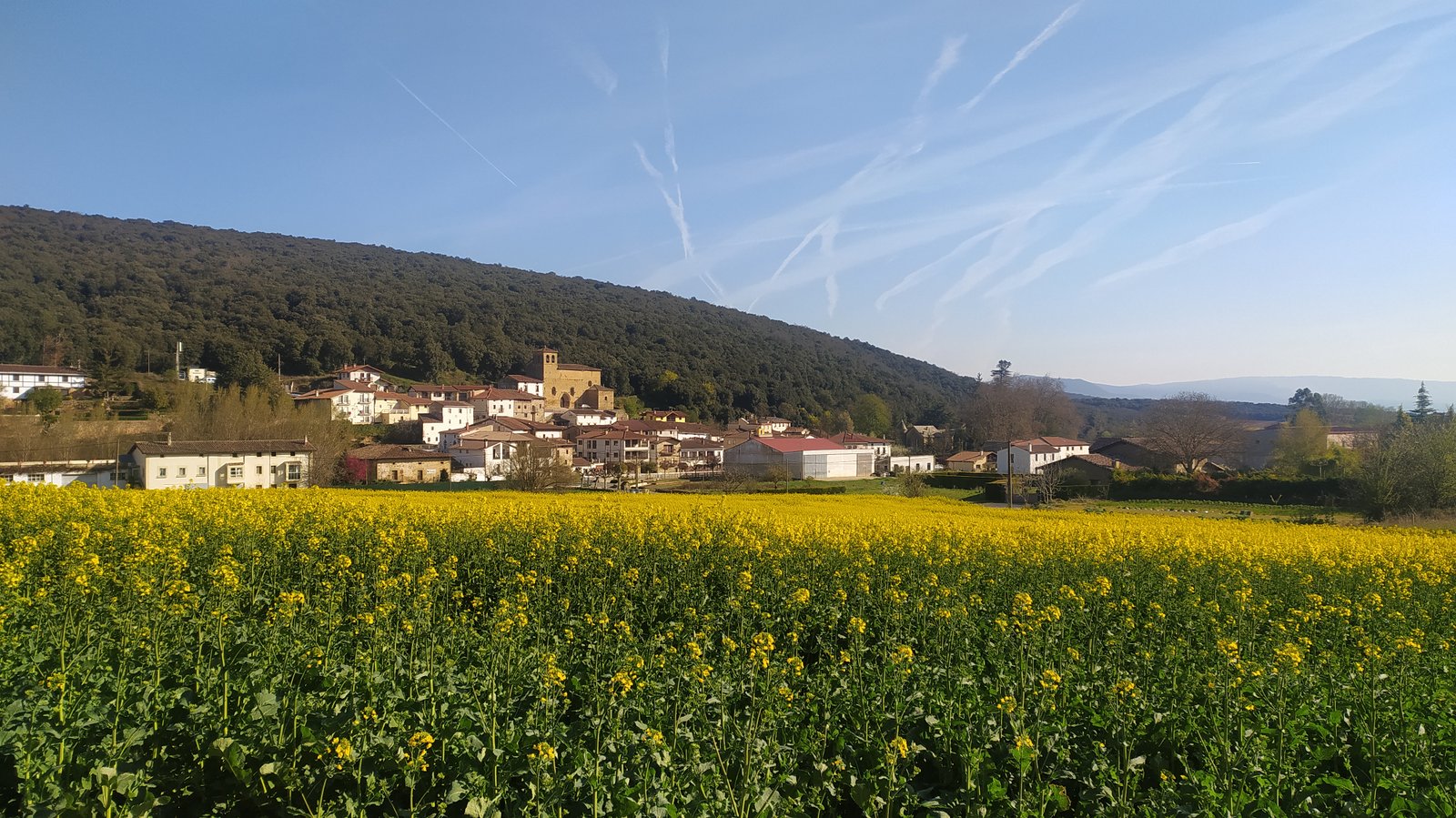 Maranón
