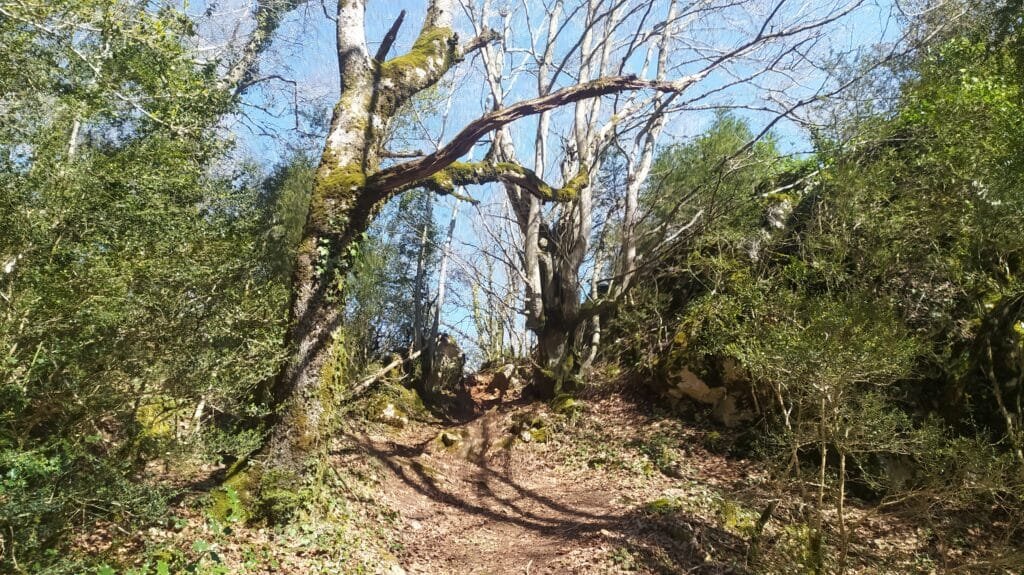Seguimos un sendero