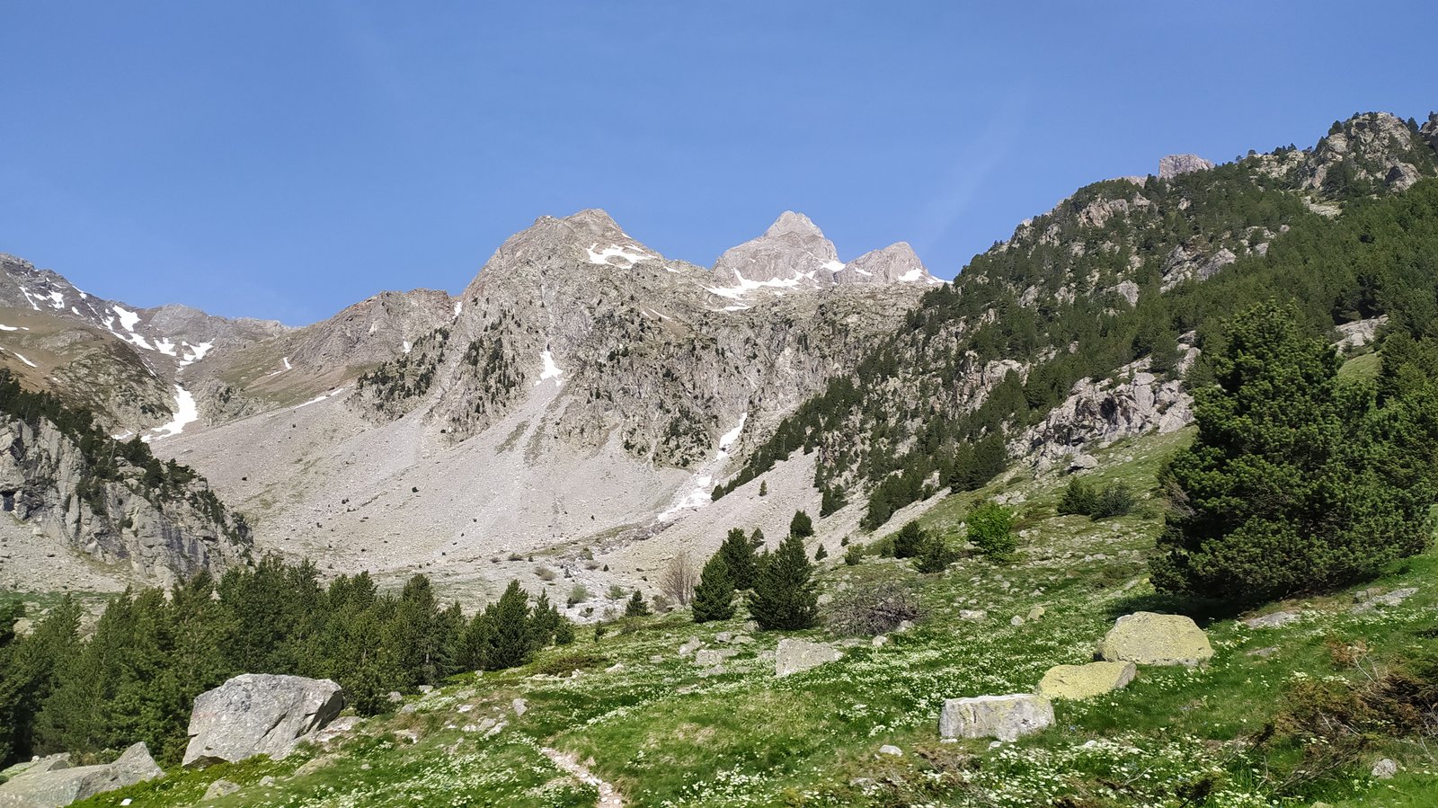 Vistazas