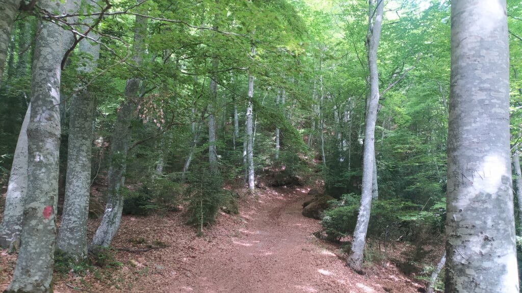 Ruta al Ibón de Piedrafita