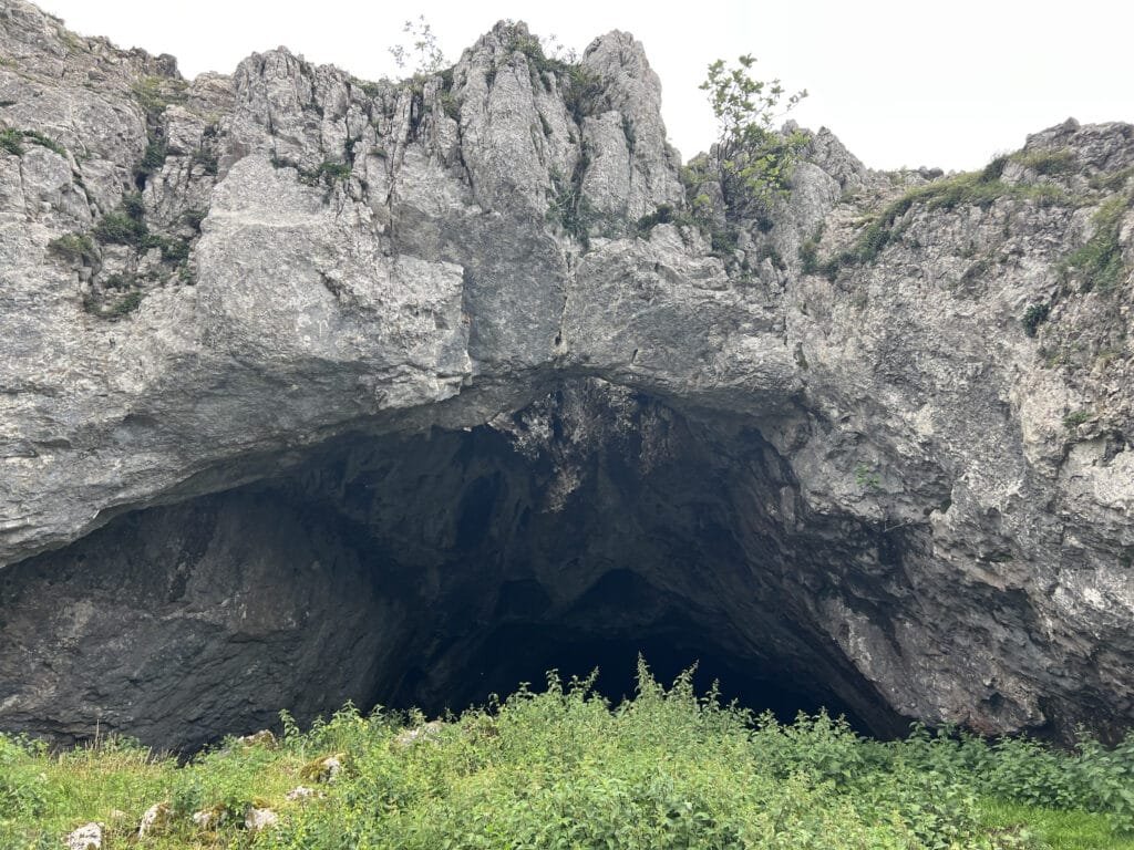 Cueva