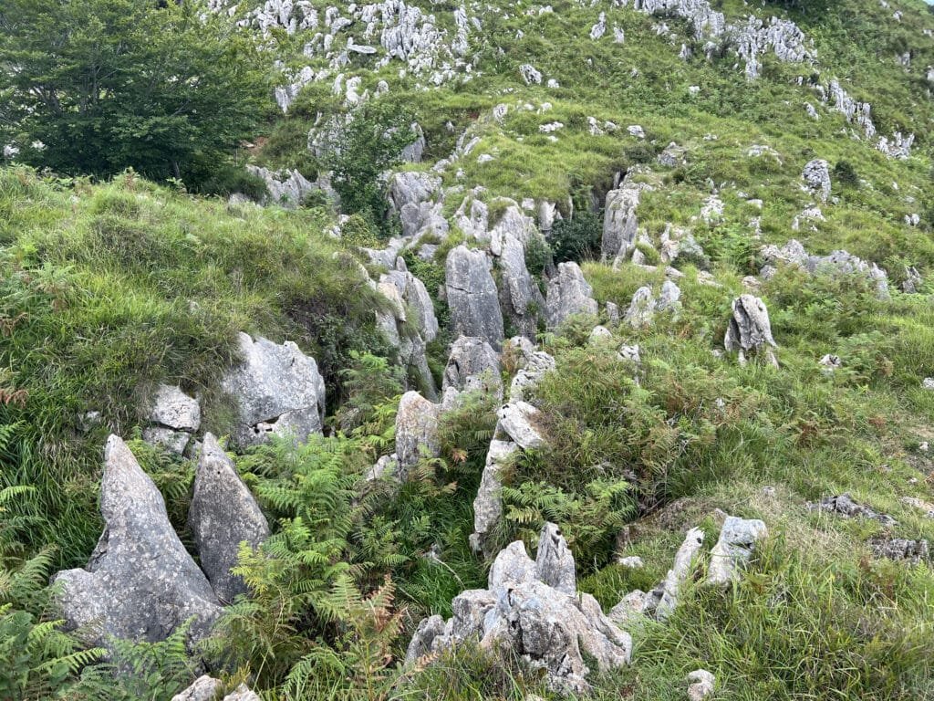 Lapiaz