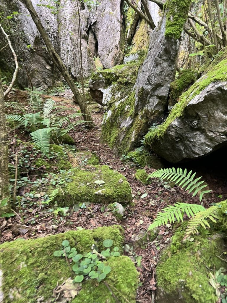 Minas de udalatx