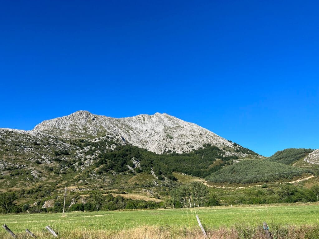 Cresta del Susarón
