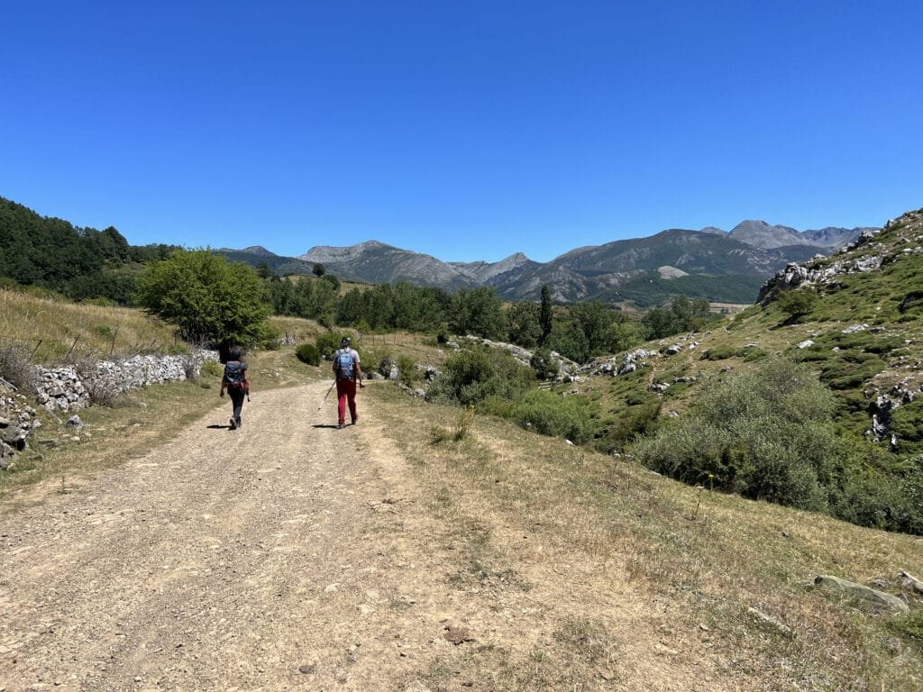 ruta